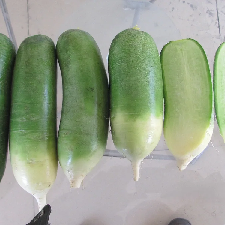 কুড়কুড়ে সবুজ মূলা