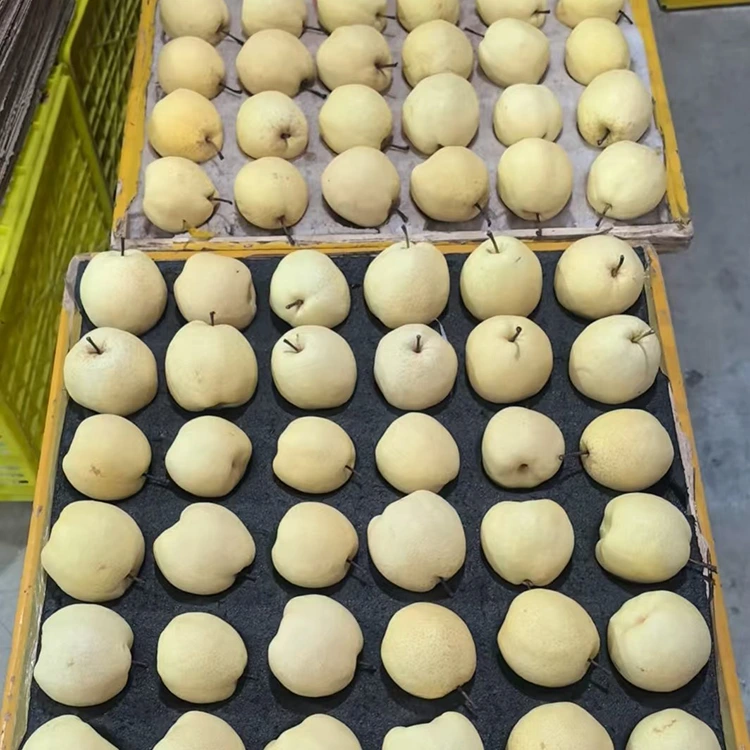 টাটকা বাছাই করা গং নাশপাতি
