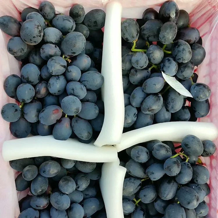 Freshly Harvested Black Grapes