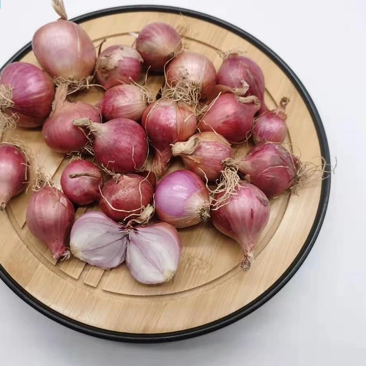 Selected Fresh Little Pearl Onions