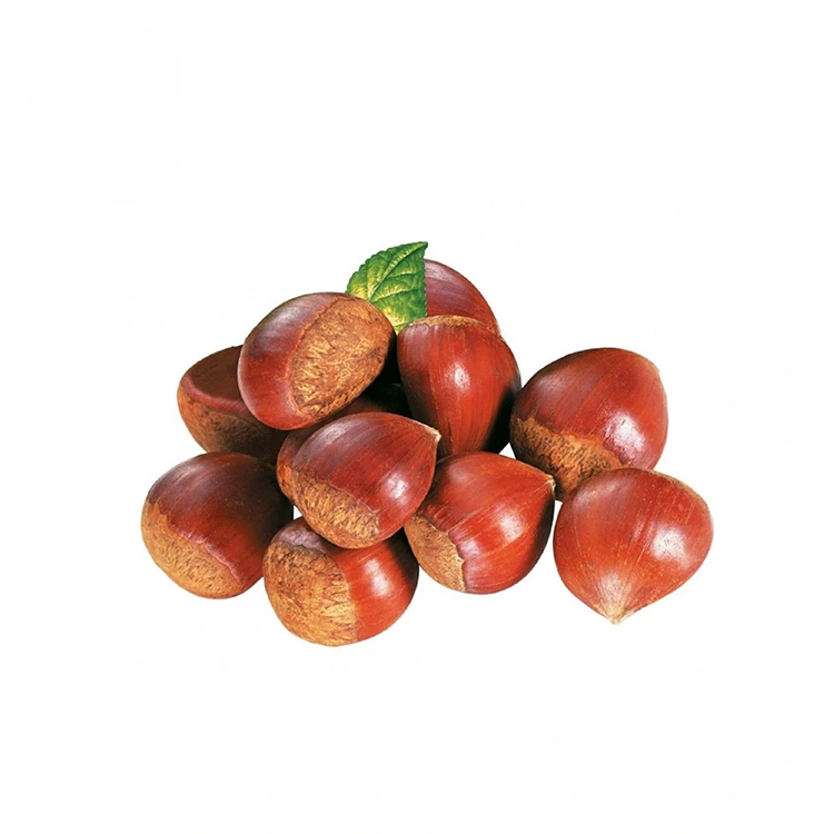 প্রিমিয়াম কোয়ালিটির চেস্টনাটস