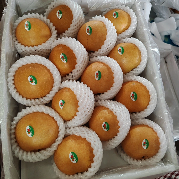 প্রিমিয়াম শিঙ্গো নাশপাতি